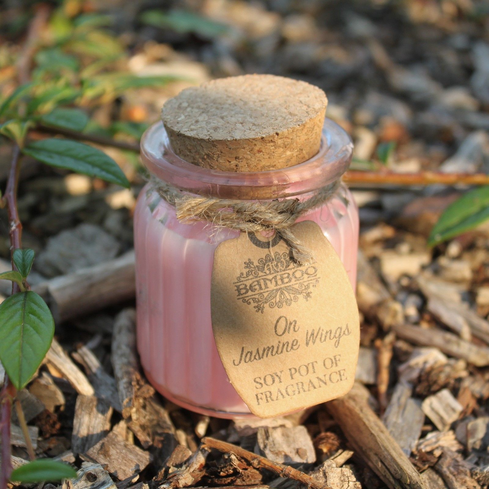 Vela aromática de soja En alas de Jazmín en tarrina de cristal y tapa de corcho etiqueta de cartón reciclado fondo natural